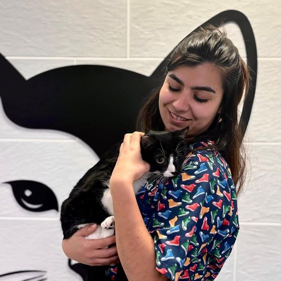 Auxiliar de Amaita con un gato en brazos en la clínica veterinaria de Irún