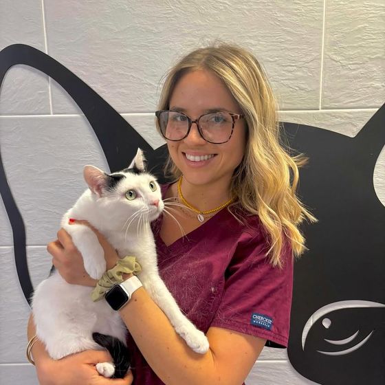 Veterinaria de Amaita sujetando a un gato blanco en la consulta de Irún