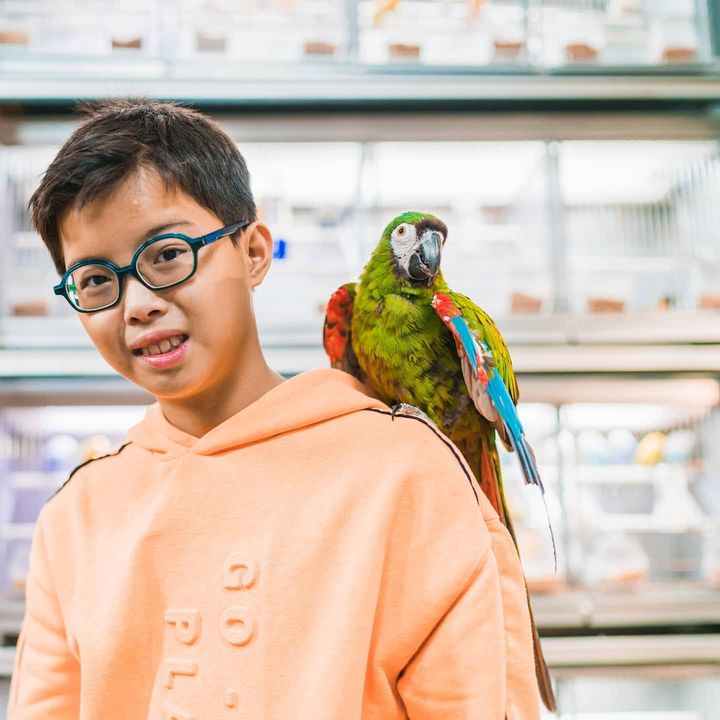 Niño con un guacamayo en el hombro en Amaita, veterinario de aves en Irún