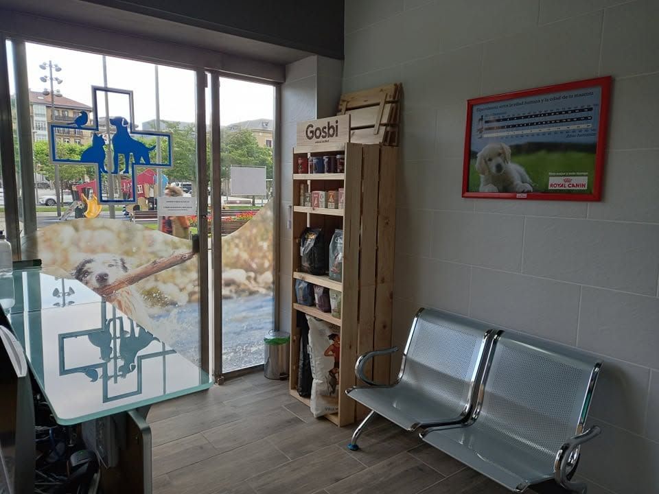 Sala de espera de la clínica veterinaria Amaita en Irún, con bancos metálicos junto a la entrada acristalada
