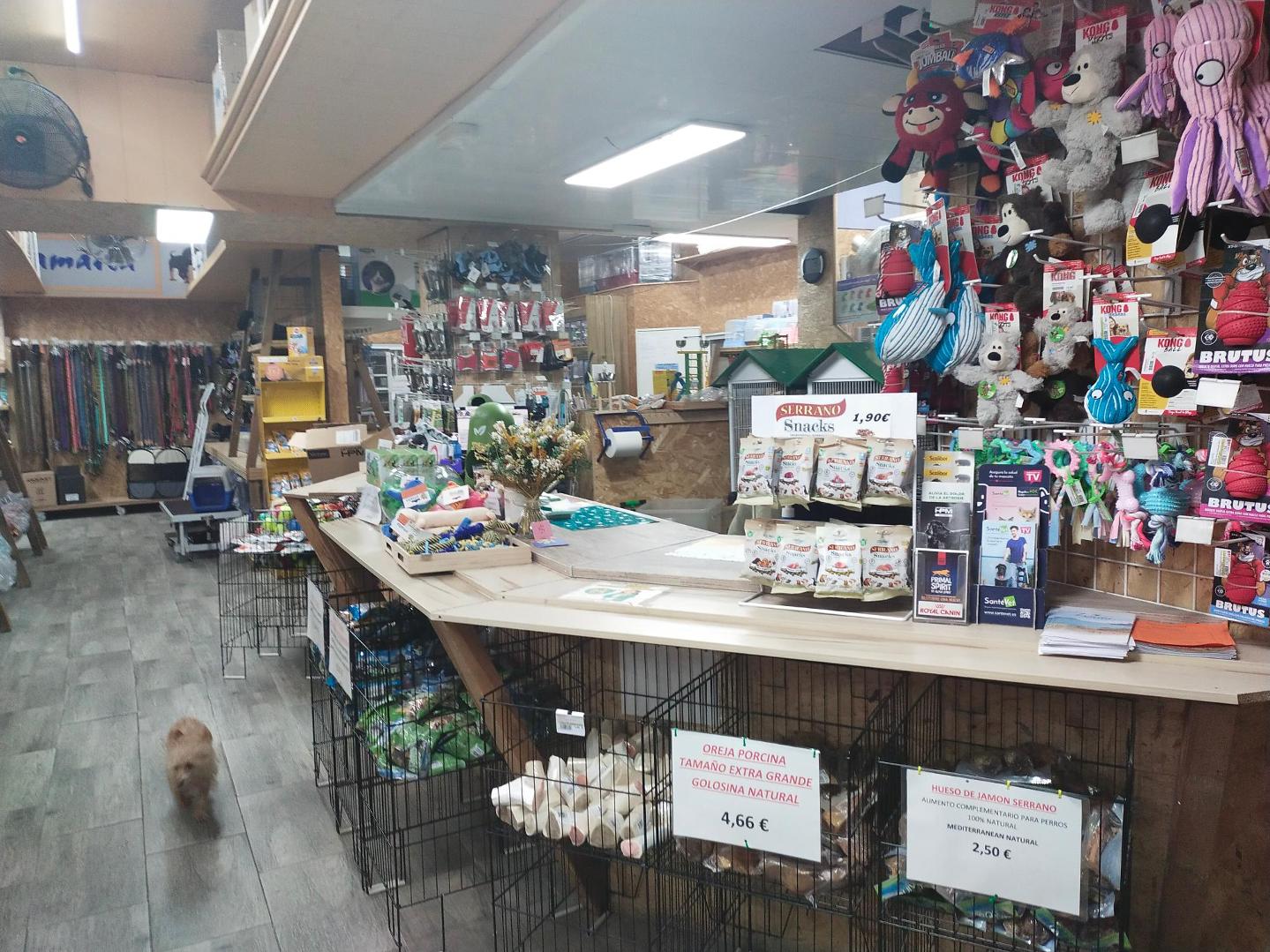 Interior de la tienda de mascotas Amaita en Irún